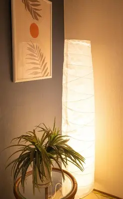 a plant sitting on a table next to a lamp at Katsushika-ku - House - Vacation STAY 20111 in Tokyo