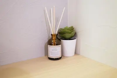 a bottle of wine and a potted plant on a shelf at Belshaart Kamikitazawa - Vacation STAY 20141 in Tokyo