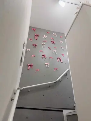 an overhead view of a group of dogs on a floor at The Rose Ueno in Tokyo