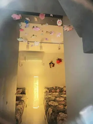 a room with two beds and a ceiling with flowers at The Rose Ueno in Tokyo