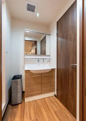a bathroom with a sink and a mirror at Newly Opened \u6c60\u888b\u30c6\u30e9\u30b9\u30cf\u30a6\u30b9A in Tokyo