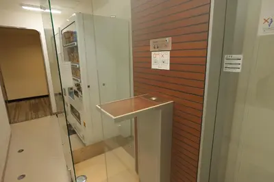 a bathroom with a sink and a shower at KKR Hotel Nakameguro in Tokyo