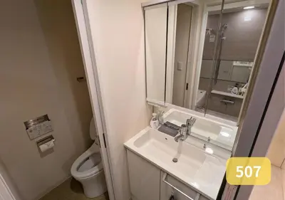 a bathroom with a sink and a toilet and a mirror at Westside Shinjuku-Gyoen 507 in Tokyo