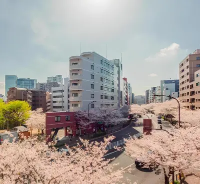 a city withakura trees in front of tall buildings at Cozy Stay Ebisu in Tokyo