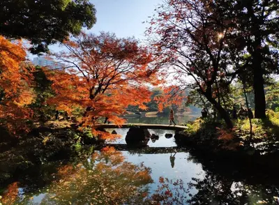 a view of a pond in a park with trees at 401, 6 min walk to subway stn, Tokyo Univ, Tokyo Tower, Tokyo-Dome direct by subway in Tokyo