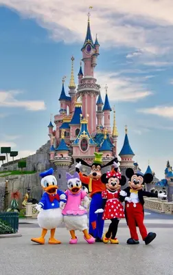 a group of mario and mickeys posing in front of a castle at TDR\u8eca9\u5206 3BR 5Bed \u5922\u306e\u7d9a\u304d\u3092\u697d\u3057\u3081\u308b\u5bbf -TAMU-LAND Kasai- in Tokyo