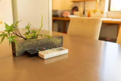 a remote control sitting on a table with a potted plant at Minimalism HOTEL Asakusa in Tokyo