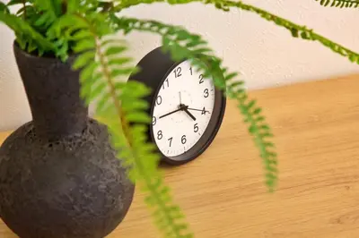 a clock sitting on a table next to a plant at Kokoon Hotel Ebisu in Tokyo