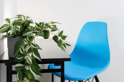 a blue chair next to a table and a plant at -Shibamata House- 9-minute walk from Shibamata Station in Tokyo