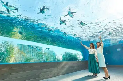 two women standing in front of a fish tank at Joyful JUJO Stay 1minute walk from JR Jujo Station Shibuya 15min Shinjuku 11min Ikebukuro 6min Max 6guests 33square meters Simmons bed in Tokyo
