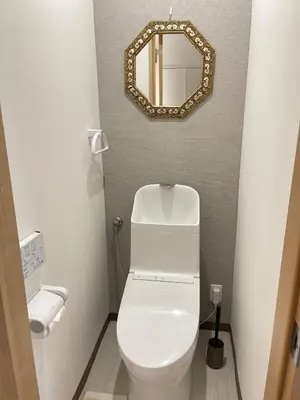 a bathroom with a white toilet and a mirror at \u671b\u6708\u30cf\u30a6\u30b9101 in Tokyo