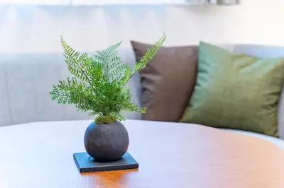 a plant in a vase sitting on a table at Hotel ITSUKI in Tokyo