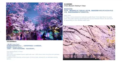 a page of a book with a picture of a tree at NDZ302 3 min walk to the station, 2 lines, Yamanote Line, explore Tokyo, high-speed Wi-Fi in Tokyo