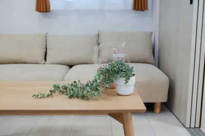 a coffee table with a potted plant on it at Oasis IKEBUKURO in Tokyo