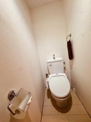 a bathroom with a toilet and a roll of toilet paper at \u30ea\u30fc\u30ac\u30e9\u30f3\u30c9\u30d6\u30e9\u30f3\u5927\u585a in Tokyo