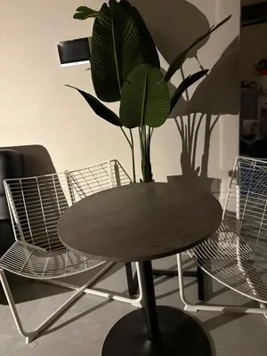 a table and chairs with a plant on top of it at Vibe Shibuya in Tokyo