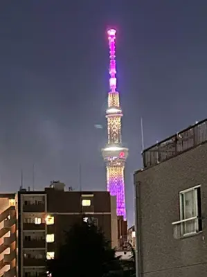 a tv tower lit up in pink and purple at Asakusa Sakura-3F in Tokyo