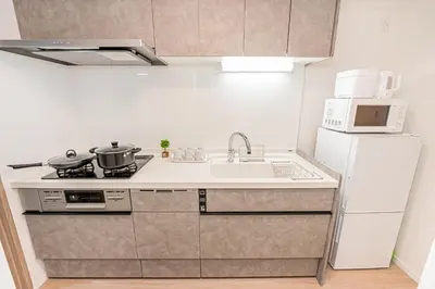 a small kitchen with a stove and a sink at \u685c\u306e\u5ddd70-41 \u7a32\u8377\u753a\u99c5 \u8fd1\u4e0a\u91ce-\u6d45\u8349 2-8\u4eba\u4e28 Inaricho Station, Near Ueno, Asakusa 2-8 people in Tokyo