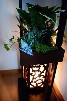 a planter with plants and a light in a room at Ayaka House Hirai in Tokyo