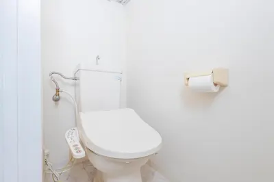 a white toilet in a bathroom with a roll of toilet paper at \u30a8\u30c9\u30e2\u30c0\u30f3\u30b9\u30c6\u30a4 Edo Modern Stay 01 in Tokyo
