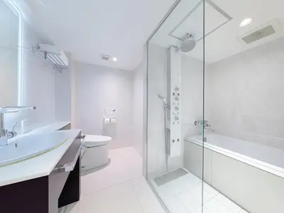 a bathroom with a shower and a sink and a toilet at Villa Fontaine Tokyo Hibiya in Tokyo