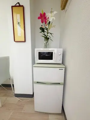 a vase of flowers sitting on top of a microwave at Asakusa Sakura-1F in Tokyo