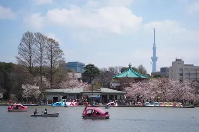 people are in boats in a lake with pink boats at \u5bae\u5143in\u6d45\u8349\u96f7\u9580\u6d45\u8349\u5bfa\u305d\u3070\u306e\u4e00\u8ed2\u5bb6\u306e\u304a\u90e8\u5c4b1\u968e\u53c8\u306f2\u968e in Tokyo