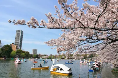 a bunch of boats in a lake with people on them at \u5bae\u5143in\u6d45\u8349\u96f7\u9580\u6d45\u8349\u5bfa\u305d\u3070\u306e\u4e00\u8ed2\u5bb6\u306e\u304a\u90e8\u5c4b1\u968e\u53c8\u306f2\u968e in Tokyo