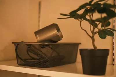 a potted plant sitting on a shelf next to a plant at IKISUMI HOTEL in Otsuka in Tokyo