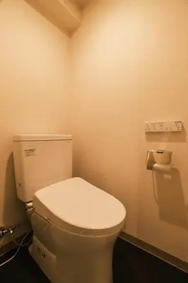 a bathroom with a white toilet in a room at IKISUMI HOTEL in Otsuka in Tokyo