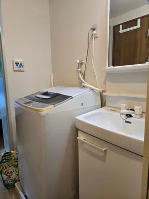 a small bathroom with a sink and a washing machine at BandK Numabukuro 202 in Tokyo