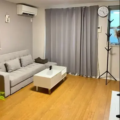 新大久保美食街高級民泊