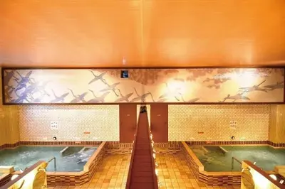 a row of swimming pools with birds on the wall at Perfect Tokyo Location-Gueat for Sightseeing,SIeeps up to8! in Tokyo