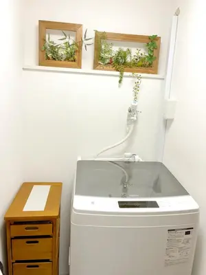 a sink in a bathroom with two plants on the wall at \u6696\u71c8 DANTO inn 3F in Tokyo