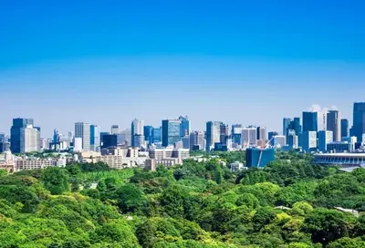 a view of a city skyline with trees and buildings at \u30aa\u30fc\u30d6\u30ea\u30aa\u30f3\u6075\u6bd4\u5bff203 in Tokyo