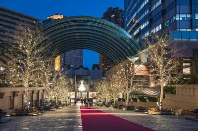 a city street with christmas lights and trees at \u30aa\u30fc\u30d6\u30ea\u30aa\u30f3\u6075\u6bd4\u5bff203 in Tokyo