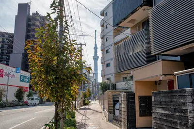 a street with a building in the distance and a tree at Tokyo Skytree 201 Elegance Blue Twin Room with Bath and WC in Tokyo