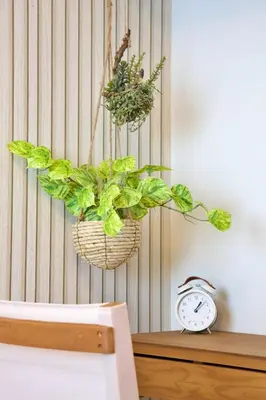 a plant in a basket hanging from a wall at \u30aa\u30fc\u30d6\u30ea\u30aa\u30f3\u6075\u6bd4\u5bff202 in Tokyo