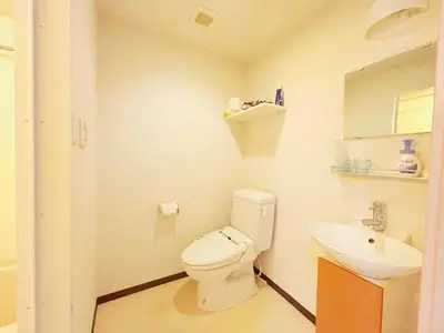 a bathroom with a white toilet and a sink at \u30a2\u30eb\u30b9\u30db\u30fc\u30e0 \u6c60\u888b in Tokyo