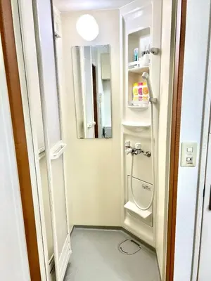a small bathroom with a toilet and a mirror at Tokyo Shinjuku East Goose Goose House in Tokyo