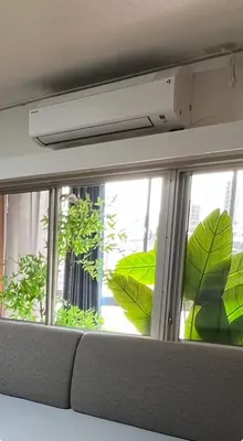 a view of a window with green plants at \u6771\u65b0\u5bbf\u30a8\u30ea\u30a277 in Tokyo