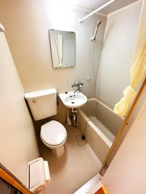 a small bathroom with a toilet and a sink at Tokyo Shinjuku Goose Goose Apart in Tokyo