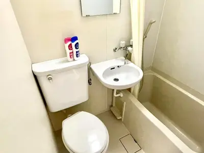 a small bathroom with a toilet and a sink at Tokyo Shinjuku Goose Goose Apart in Tokyo