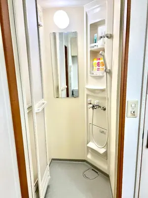 a small bathroom with a toilet and a mirror at Tokyo Shinjuku Goose Goose Apart in Tokyo