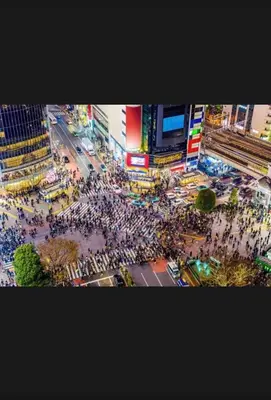a crowd of people standing in a busy city street at \u6a31\u82b1\u5bbf\u6d89\u8c37\u7ad9\u5f92\u6b654\u5206\u949f in Tokyo