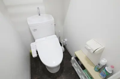 a bathroom with a white toilet in a room at Shinbashi Oliver in Tokyo