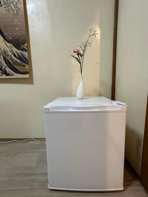 a white vase with a flower on top of a freezer at \u6d45\u8349 \u30b9\u30ab\u30a4\u30c4\u30ea\u30fc\u570f10\u5206 \u4ea4\u901a\u81f3\u4fbf \u6d45\u8349\u5bfa\u89b3\u5149 \u53cc\u9b5a\u306e\u5bbf \u6771\u5411\u5cf65 in Tokyo