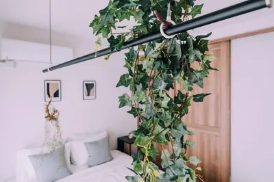 a plant hanging from a pole in a bedroom at Showa Bloom Shinjuku 3 in Tokyo