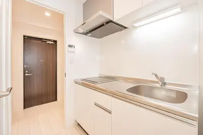 a kitchen with a sink and a brown door at JR\u5c71\u624b\u7dda\u5f92\u6b69\u4e94\u5206 ZAITO TOKYO NEST Hotel in Tokyo