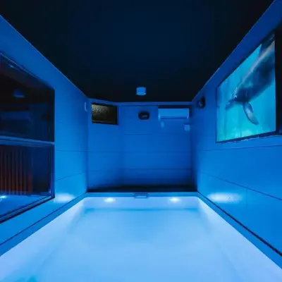 SEADINERS VILLA AOYAMA Tokyo First Metropolis Villa Pool Sauna BBQ